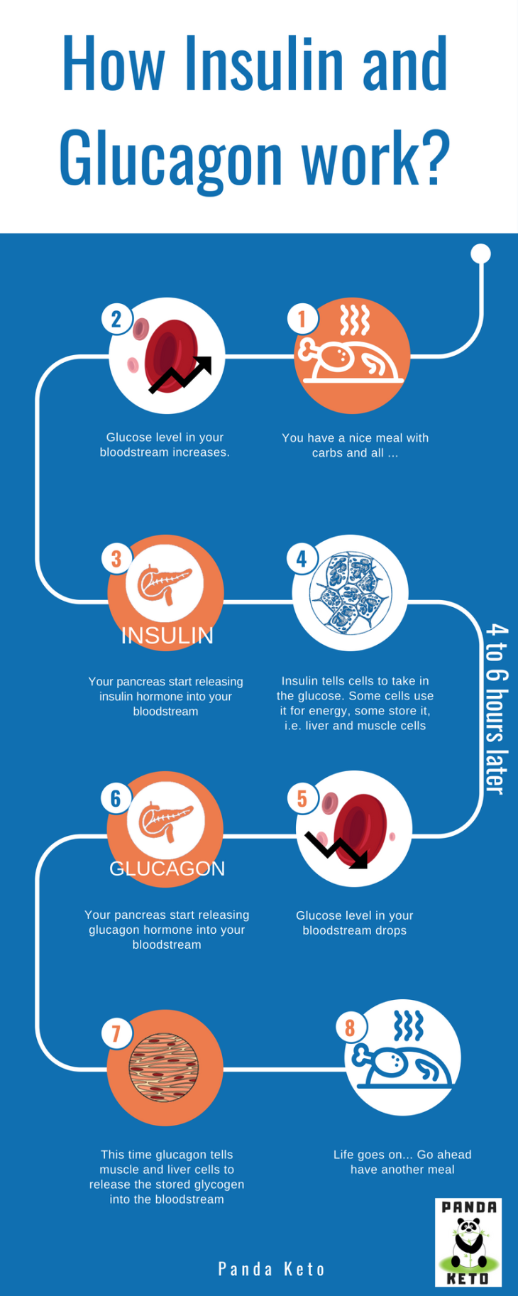 how_insulin_glucagon_work_infographic